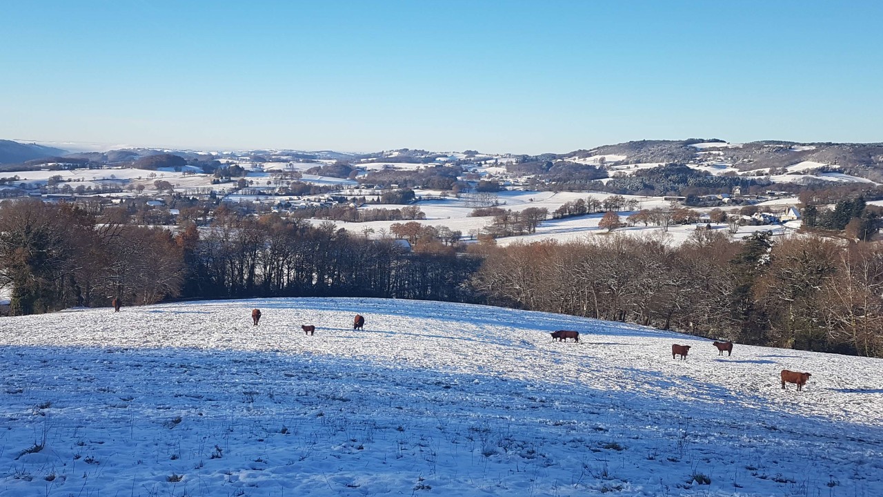 Sous la neige